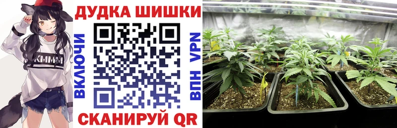 Канабис THC 21%  как найти   Электроугли 